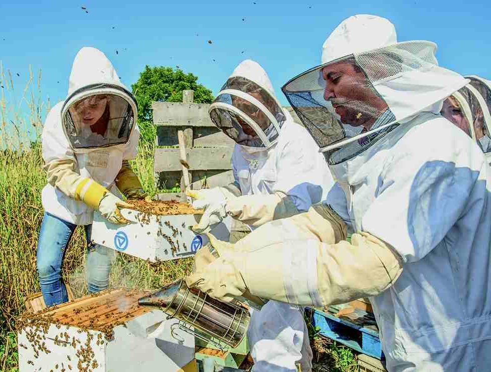 three beekeepers near hives